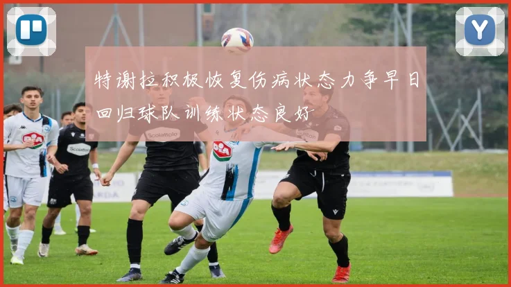 特谢拉积极恢复伤病状态力争早日回归球队训练状态良好